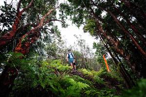 BIB: 
                            <button type="button" onclick="openModal(26202679)" class="btn btn-primary btn-sm float-right btn-popup" data-toggle="modal" data-target=".modal-high-quality">
                        <i class="fas fa-shopping-cart"></i> Add to Cart
                    </button>
                                            <button type="button" onclick="isThisMe(26202679, true)" class="btn btn-success btn-sm float-right btn-popup btn-isme hidden" data-toggle="tooltip" data-placement="bottom" title="นี่คือรูปของคุณใช่ไหม คลิกที่นี่เพื่อเอาเข้าอัลบั้ม">
                        <i class="fas fa-plus"></i> Add to album
                    </button>
                    <button type="button" onclick="isThisMe(26202679, false)" class="btn btn-warning btn-sm float-right btn-popup btn-isnotme hidden">
                        <i class="fas fa-ban"></i> Remove from album
                    </button>